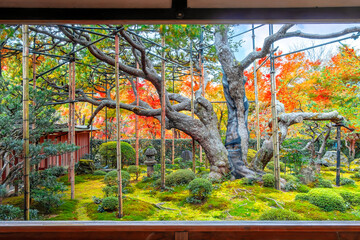 Hosen-in temple with colorful autumn gardens in Ohara, northern Kyoto