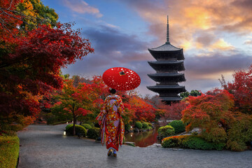 Japanese Woman in Traditional Kimono Dress at Toji Temple in Kyoto, Japan with beautiful garden and autumn foliage