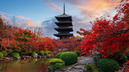 Toji Temple in Kyoto, Japan with beautiful garden and autumn foliage
