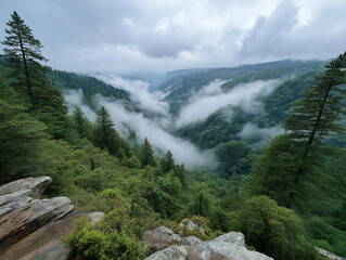 Majestic valley landscape with misty fog and lush greenery in the mountains during early morning hours