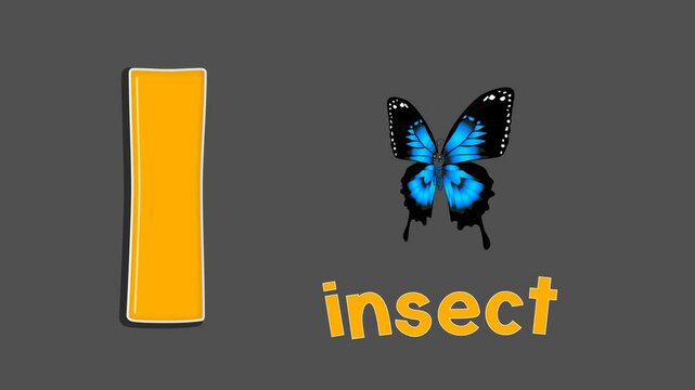alphabet-I-for-insect-kids-education-cartoon
