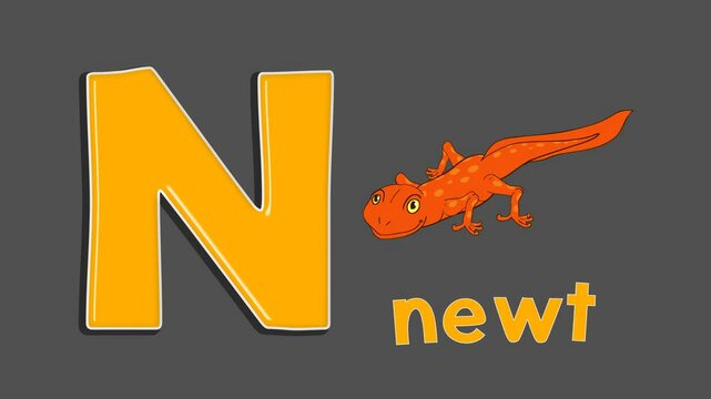 alphabet-N-for-newt-kids-education-cartoon