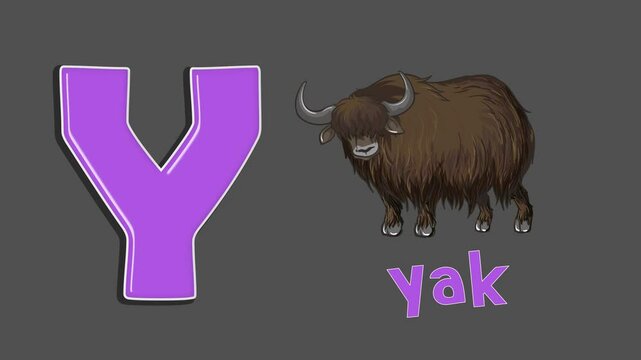 alphabet-Y-for-yak-abc-animation
