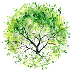 Watercolor Illustration of a Green Tree in a Circle on White Background Depicting Nature and Ecology