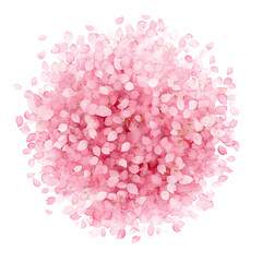 Artistic Arrangement Of Pink Cherry Blossom Petals Isolated On White Background Depicting Spring Season And Natural Beauty