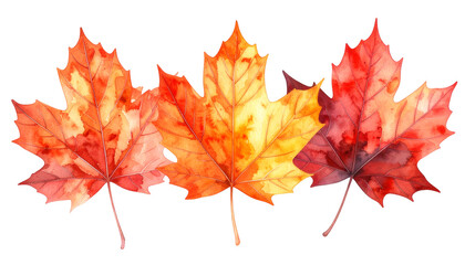 Vibrant autumn leaves painted in watercolor, showcasing a blend of colors, capturing the essence of fall. The leaves are delicately detailed
