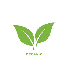 Obraz premium eco friendly green leaf