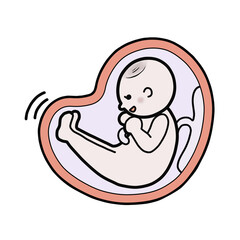 母親の胎内にいる赤ちゃんのイラスト（蹴る）