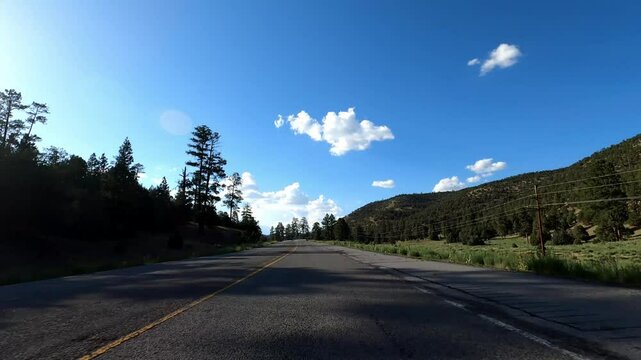 New Mexico Driving 0644 Datil Pie Town