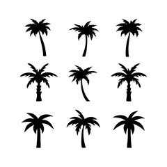 A collection of black palm tree silhouettes in a modern style, set against a transparent/white background.