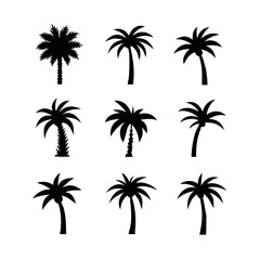 palm tree silhouettes