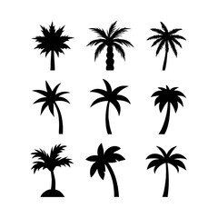 palm trees collection, set silhouette on white background vector