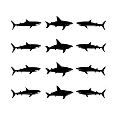 Shark silhouette. a set of shark silhouettes