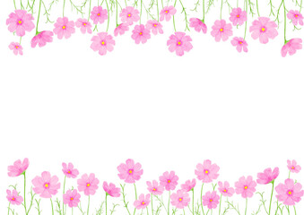 コスモス　花　水彩　秋　イラスト © Mami