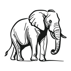 Thin Line Elephant Head Logo – Abstract Wildlife Graphic Symbol