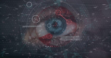 Image of data processing over eye