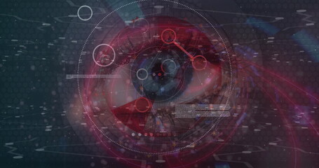 Image of data processing over eye