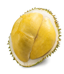 Yellow durian flesh, the king of tropical fruits, has sharp thorns and a strong smell isolate on white with clipping path