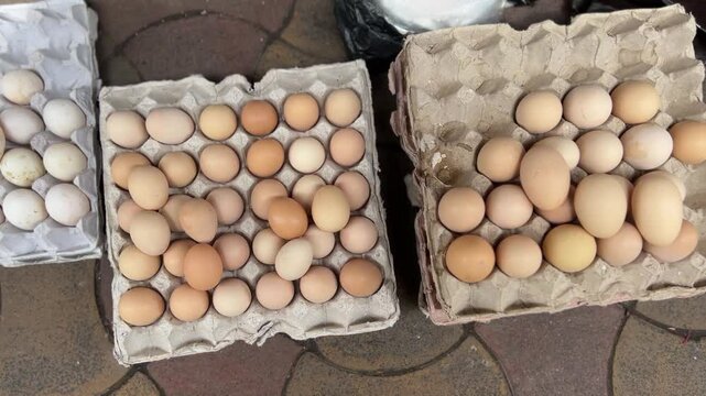 Desi duck and hen egg sold in road side in Kolkata, India