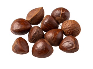 Pile of Pignut Hickory Nuts Isolated on transparent background, Isolated Png file, Cut-out, Isolate Png, No Background, Isolated object