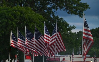 American Flags at a Cemetery
