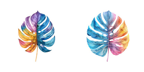 abstract color silhouette of monstera leaf watercolor vector illustration