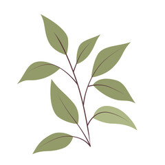 森の動物たち＊AnimalForest＊植物