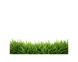 green grass frame top bottom border illustration