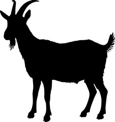 silhouette of a goat