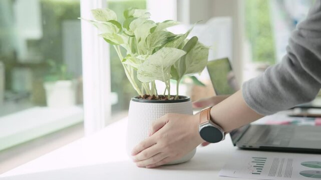 The way forward save the planet earth Gen Z asia people go green mindset net zero waste ESG SDG office nature house plant mental health care stress relief. Young adult woman asian happy smile relax.