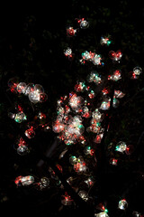 Illumination(イルミネーション)