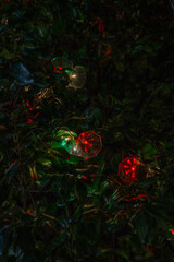 Illumination(イルミネーション)