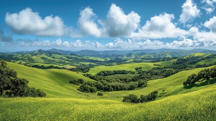 Obraz premium Rolling Hills Meadow Vista