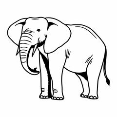 Fototapeta premium A majestic African elephant stands proudly, captured in a striking black and white line drawing. The image shows the elephant's powerful form, its large ears, and long trunk. Generative AI