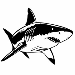 Obraz premium A captivating black and white illustration of a powerful shark showcases the formidable presence of a marine predator, highlighting its sharp features and ominous grace. Generative AI