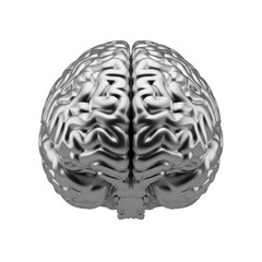 Silver human brain model, isolated on transparent background