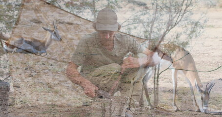 Image of caucasian man over antelopes on savanna