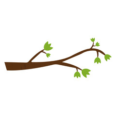 Tree Branch With Leaves