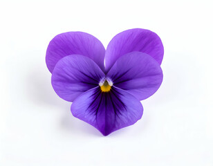 Heart-Shaped Violet Flower A Stunning Purple Pansy Bloom