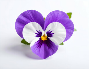 Obraz premium Heart-Shaped Pansy A Delicate Violet Flower with Soft Light