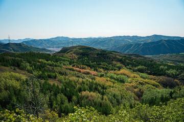 Mountain landscape with green forest and clear blue sky creating peaceful and natural atmosphere