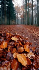 Autumn Forest Path  A Misty Morning Walk Through Vibrant Fall Colors