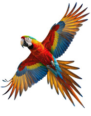 Obraz premium Vibrant Parrot in Flight, Isolated Transparent Background