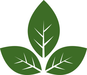 Three Green Leaves A Symbol of Nature, Growth, and Renewal - Perfect for Eco-Friendly Logos, Designs, and More