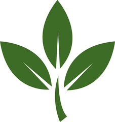 Three Green Leaves Simple Nature Icon Logo Design, Eco-Friendly Symbol, Organic Plant Illustration, Botanical Vector Graphic, Spring Leaf Image
