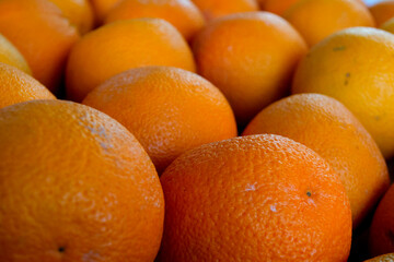 group of fresh citrus fruits and full of vitamins for the body