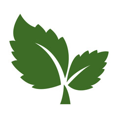 Vibrant Green Leaves Illustration Nature's Freshness, Eco-Friendly Design Element, Botanical Illustration, Perfect for Logos, Websites, and Branding