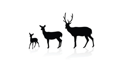 Deer-01