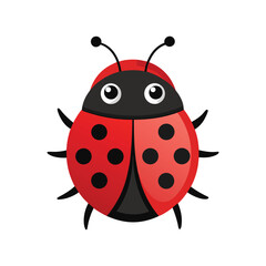 Obraz premium Flat and Minimal Ladybug icon vector illustration isolated on white background
