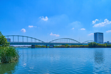 Fototapeta premium 夏の東京都大田区矢口3丁目の河川敷から多摩川大橋と多摩川専用橋方面を見る